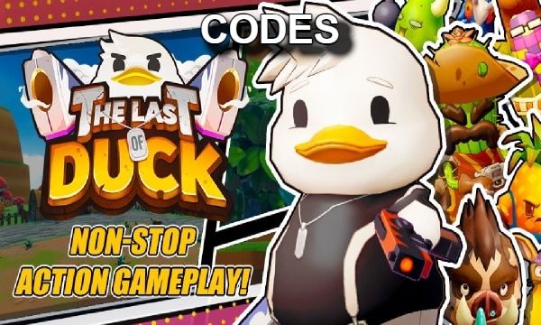 The Last of Duck Codes