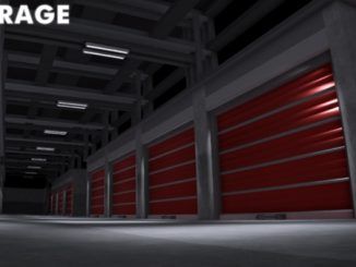 The Storage Codes