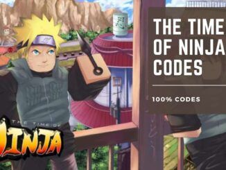 The Time of Ninja Codes