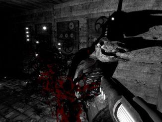 The Pony Factory Complete Walkthrough Guide