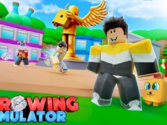 Throwing Simulator Codes