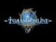 Toram Online Leveling Guide