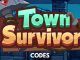 Town Survivor Codes