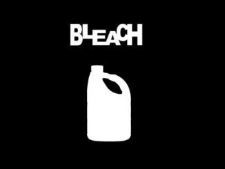 Toxic Bleach Codes