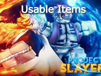 Usable Items in Project Slayers