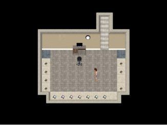 Visiting Aunt Sara Walkthrough guide