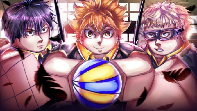 Volleyball Ascended Codes