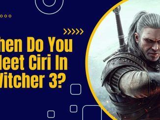 When Do You Meet Ciri In The Witcher 3