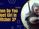 When Do You Meet Ciri In The Witcher 3
