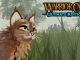 Warrior Cats Codes