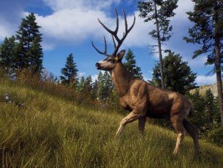 Way of The Hunter All Animal Locations