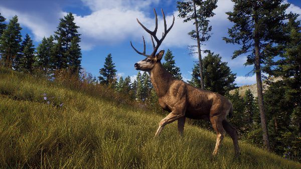 Way of The Hunter All Animal Locations