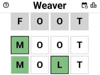 Weaver Answer Today