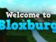 Wellcome to Bloxburg Hair Codes