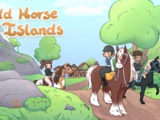 Wild Horse Islands Percheron