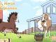 Wild Horse Islands Special Coats