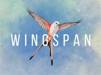 Wingspan All Cards