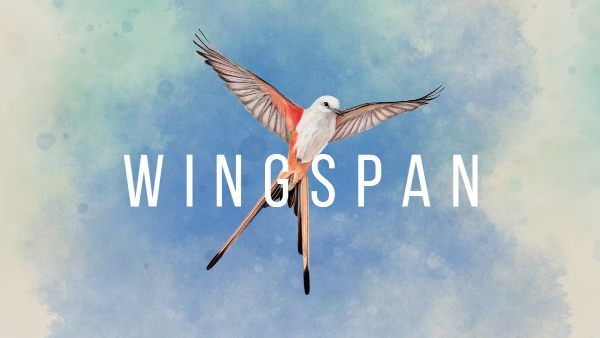Wingspan All Cards