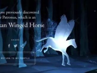 Wizarding World Patronus Abraxan Winged Horse Answers