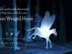 Wizarding World Patronus Abraxan Winged Horse Answers