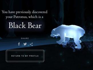 Wizarding World Patronus Black Bear Answers