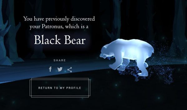Wizarding World Patronus Black Bear Answers