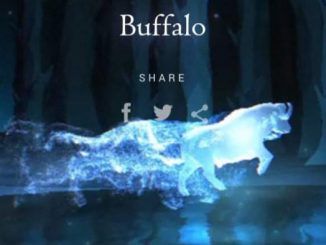 Wizarding World Patronus Buffalo Answers