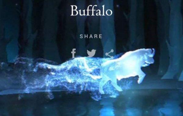Wizarding World Patronus Buffalo Answers