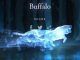 Wizarding World Patronus Buffalo Answers