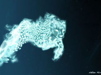 Wizarding World Patronus Cheetah Answers