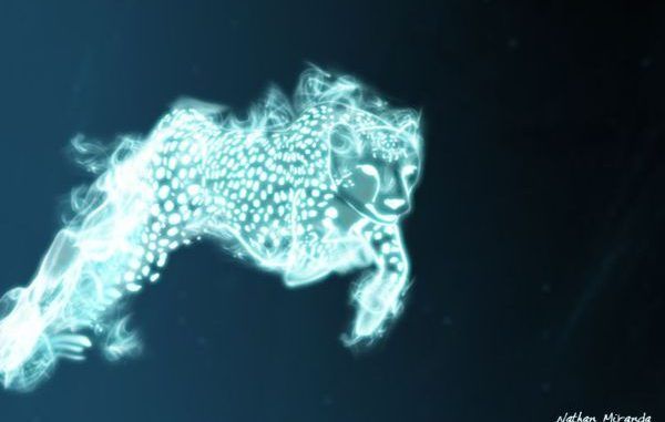 Wizarding World Patronus Cheetah Answers