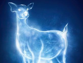 Wizarding World Patronus Doe Answers
