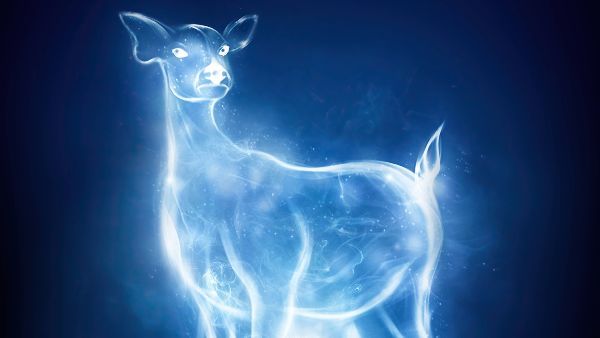 Wizarding World Patronus Doe Answers