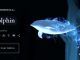 Wizarding World Patronus Dolphin Answers