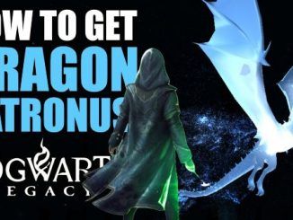 Wizarding World Patronus Dragon Answers