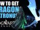 Wizarding World Patronus Dragon Answers