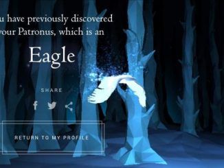 Wizarding World Patronus Eagle Answers
