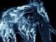 Wizarding World Patronus Elephant Answers