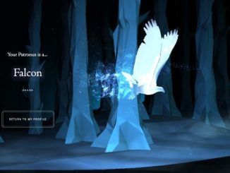 Wizarding World Patronus Falcon Answers