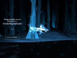 Wizarding World Patronus Fire dwelling Salamander Answers