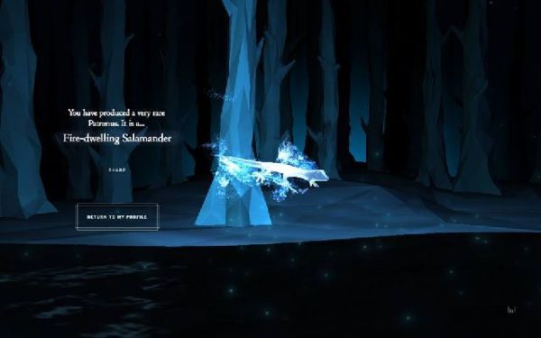 Wizarding World Patronus Fire dwelling Salamander Answers