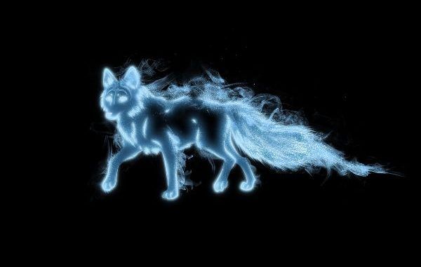 Wizarding World Patronus Fox Answers