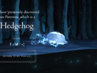 Wizarding World Patronus Hedgehog Answers