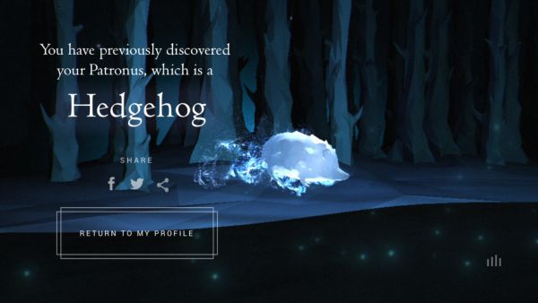 Wizarding World Patronus Hedgehog Answers