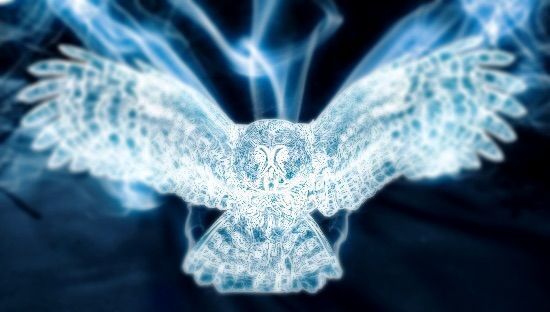 Wizarding World Patronus Hedwig Snowy Owl Answers