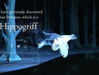 Wizarding World Patronus Hippogriff Answers