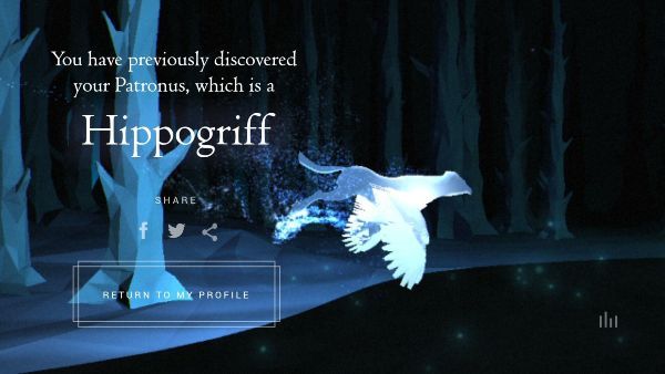 Wizarding World Patronus Hippogriff Answers