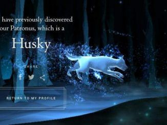 Wizarding World Patronus Husky Answers