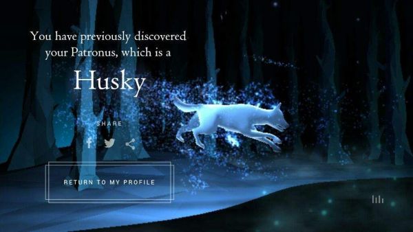 Wizarding World Patronus Husky Answers