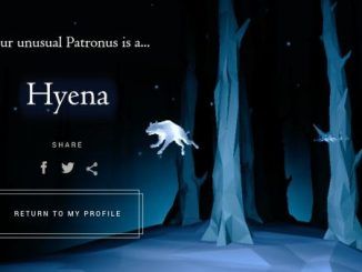 Wizarding World Patronus Hyena Answers